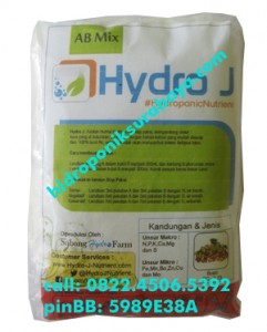 Jual Nutrisi Hidroponik