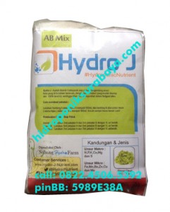 Nutrisi Hidroponik