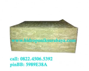 jual rockwool hidroponik surabaya