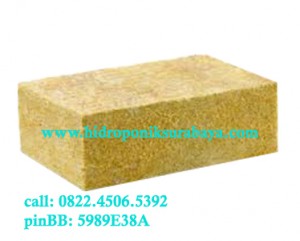 rockwool hidroponik